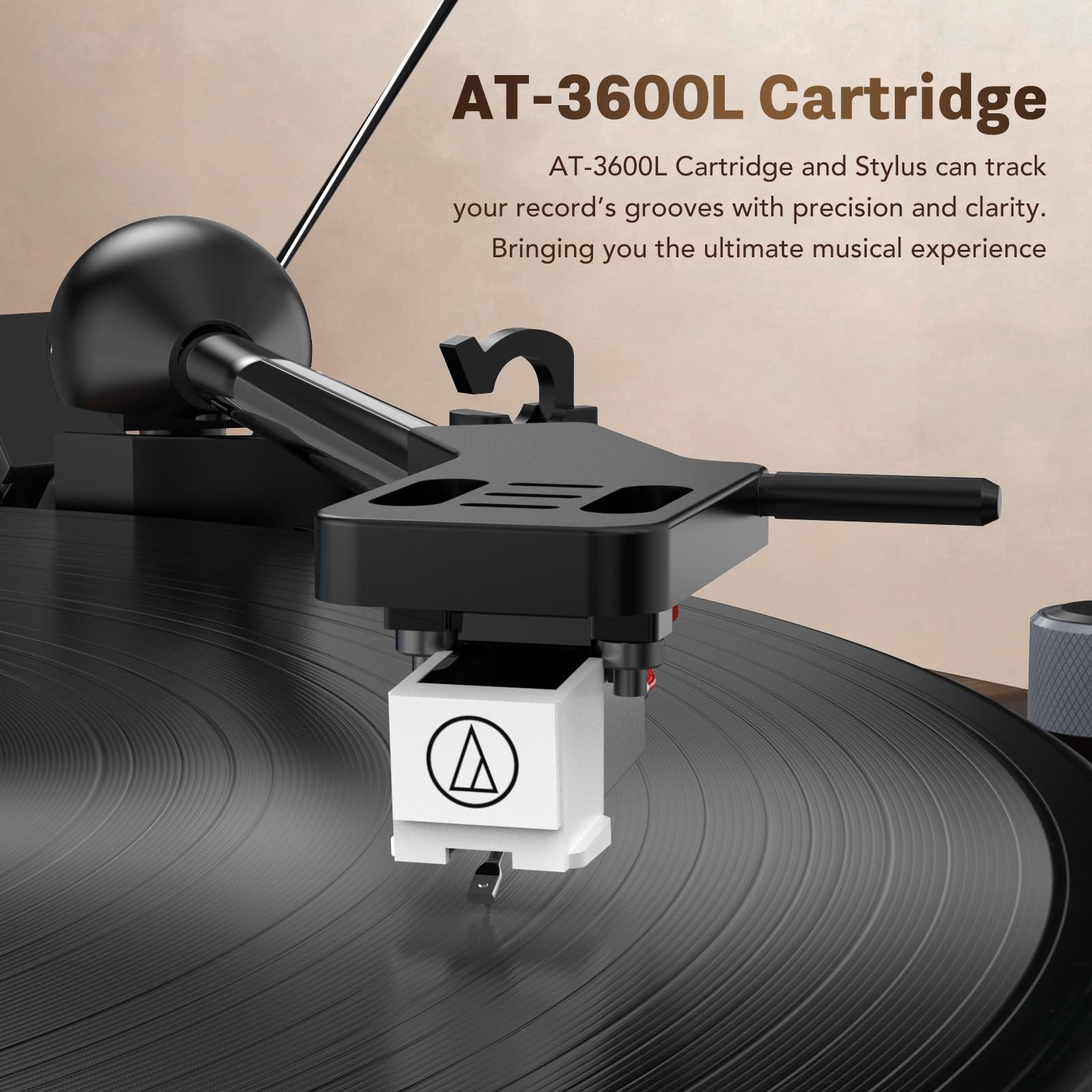 RetroAudio Vinyl Record JM304