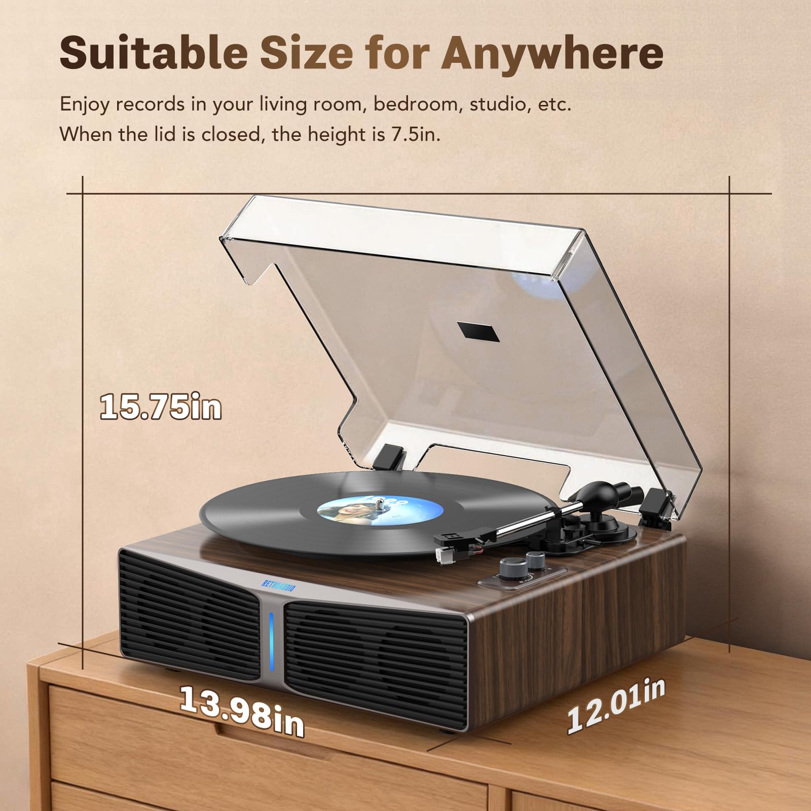 RetroAudio Vinyl Record JM304
